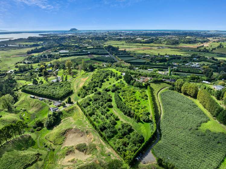 14c Crawford Road Wairoa_6