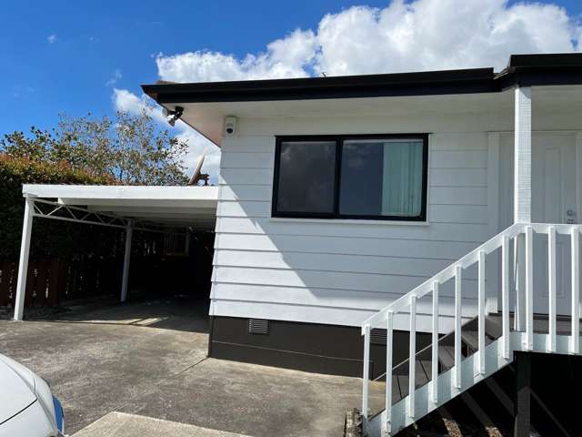 17a Reeves Road Pakuranga_1