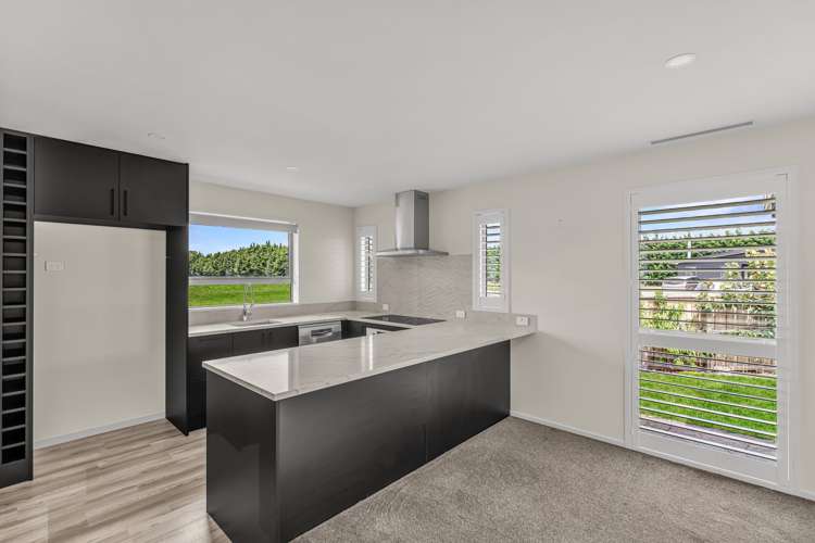 56 Ashbury Drive Ashburton_1