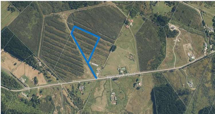 Lot 1/DP2740 Blue Spur Road_1