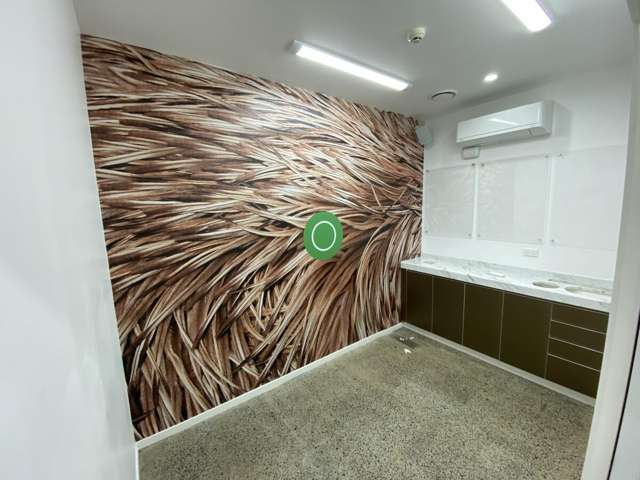 25 Ward Street Hamilton City Central_1