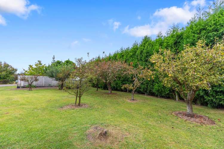 178b Maniatutu Road Pongakawa_22