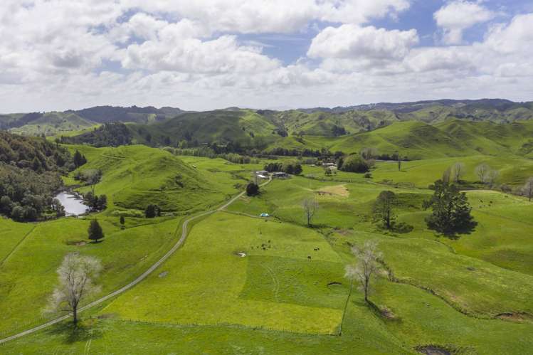 2140 State Highway 4 Aria_17