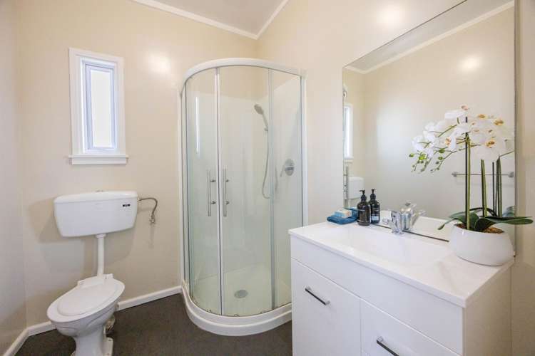 409 Terrace Road Parkvale_9
