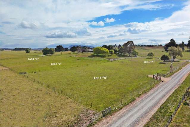 96A, B, C, D Farm Road Waipukurau_1