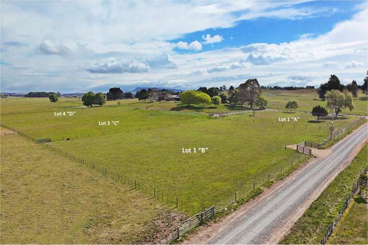 96A, B, C, D Farm Road Waipukurau_1