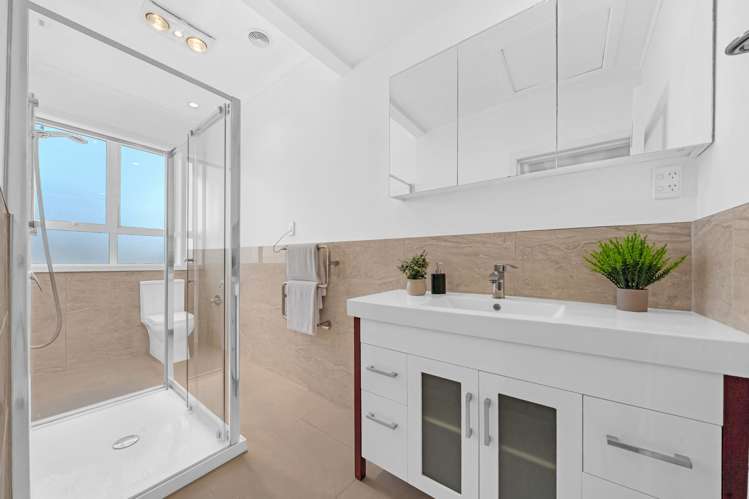 257 Mount Albert Road Sandringham_19