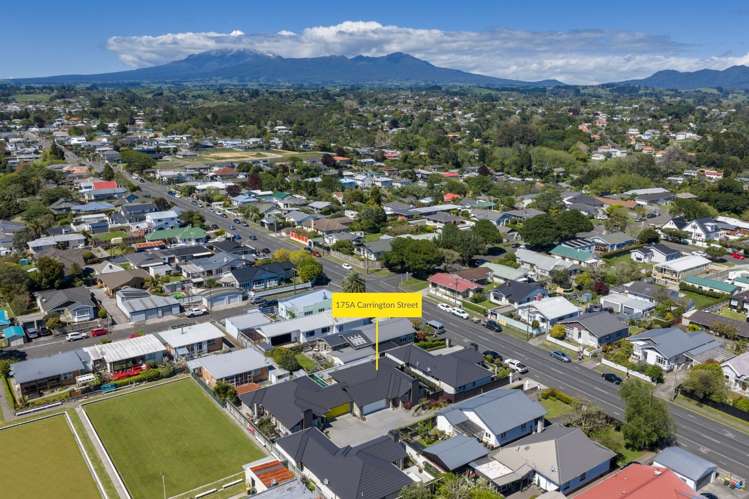 175A Carrington Street Lower Vogeltown_31