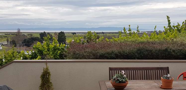 127 The Booms Avenue Thames_0