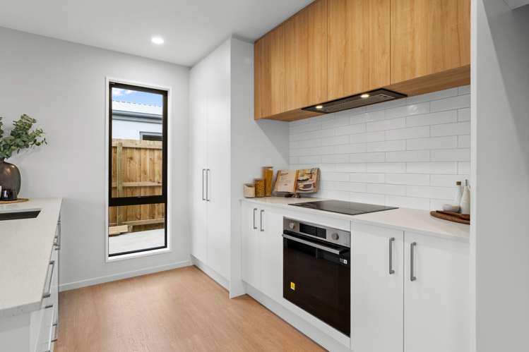 8 Nicolson Street Allenton_1