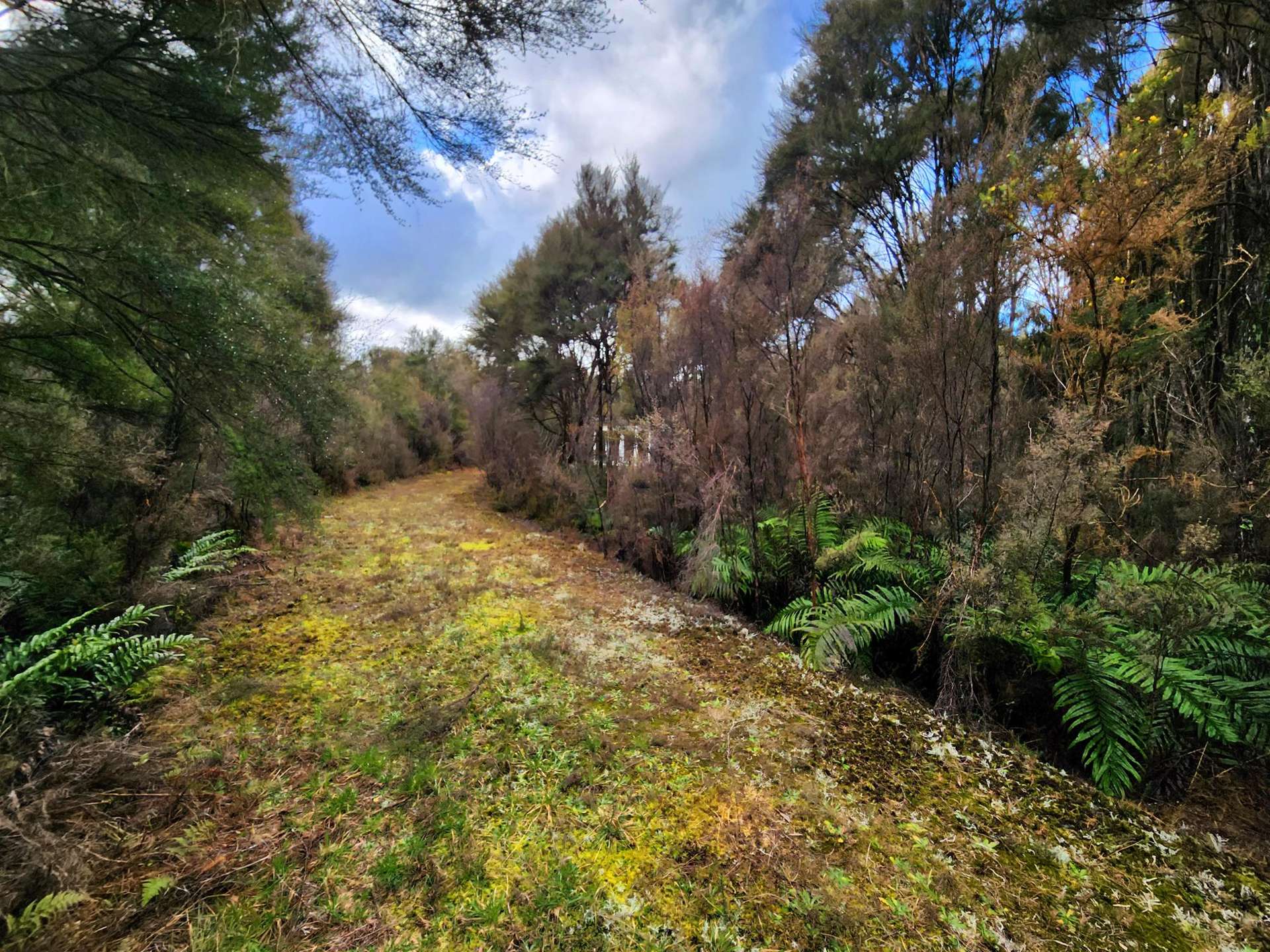 61B Beechwater Drive Arnold Valley_0