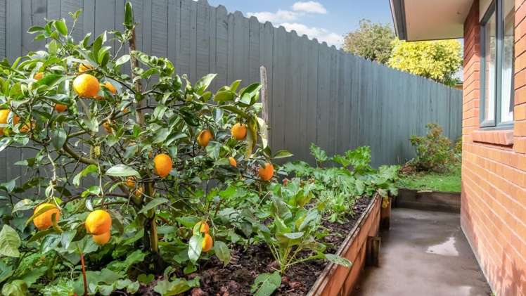 4 Emmerdale Avenue Papakura_13