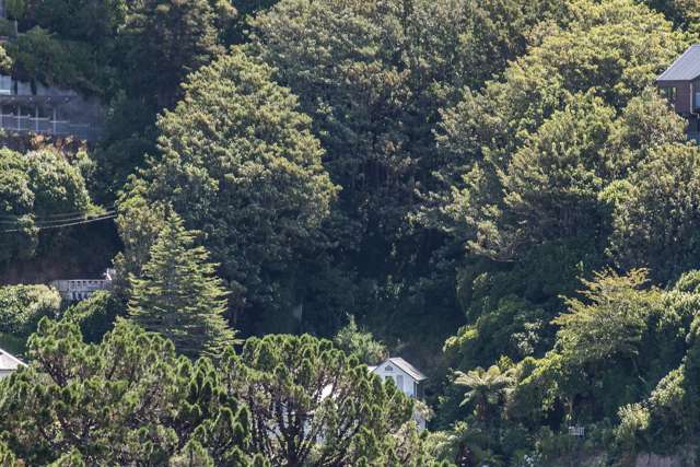 34 Orangi Kaupapa Road Northland_4