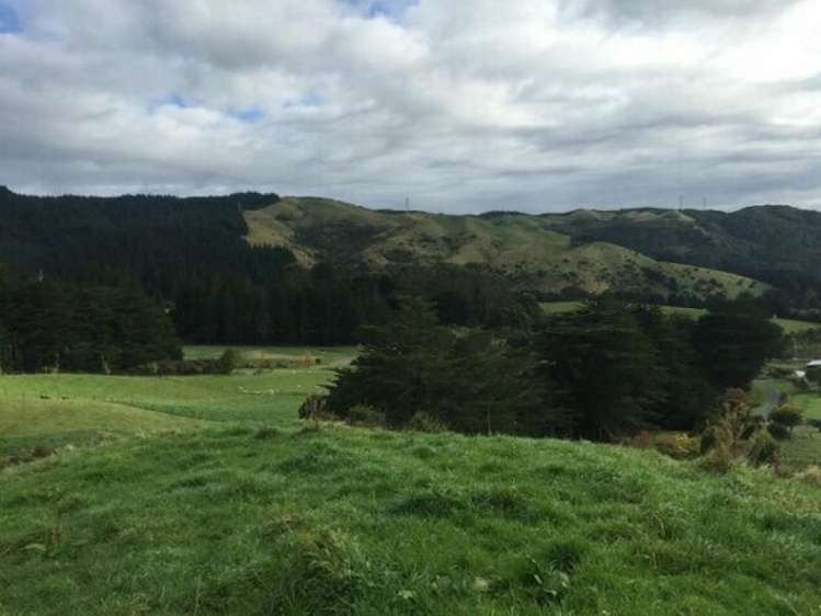 31e Kakariki Way Whitemans Valley_5