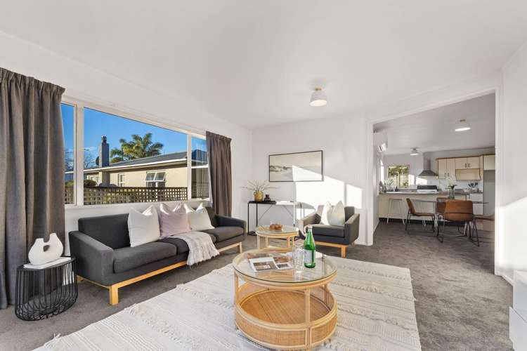 248E Annesbrook Drive_0
