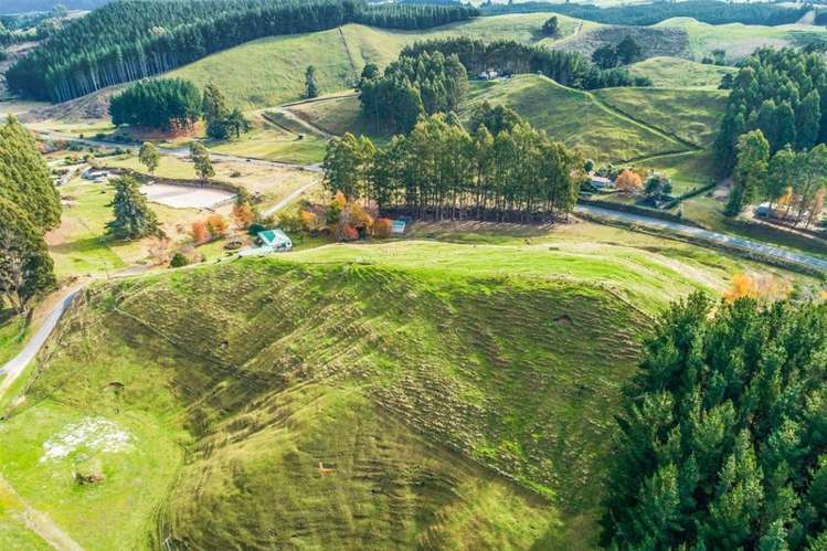 197 Whangamata Road Kinloch_4