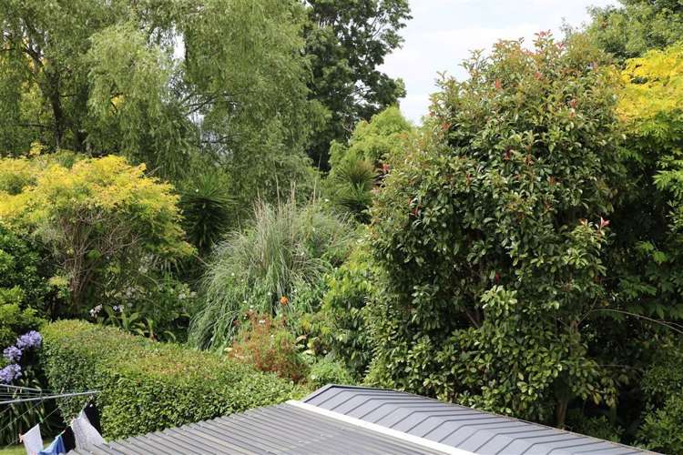 36e Hill Street Paeroa_22