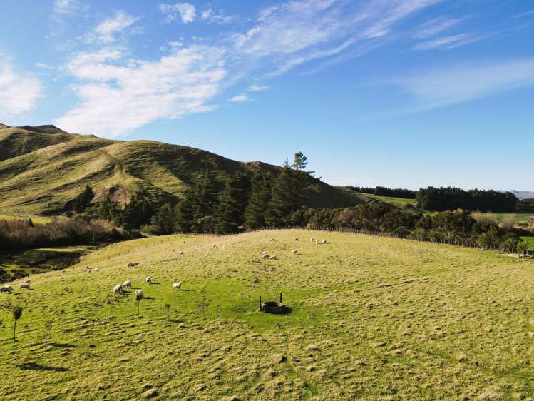 Lot 2/9 Tamaki East Road Dannevirke_4