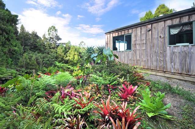 40 Kauri Grove Mangawhai_1