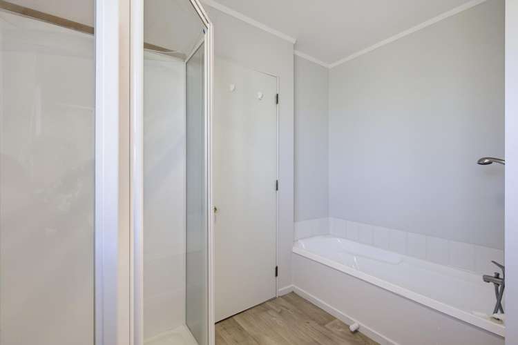 40B Cunliffe Street Johnsonville_14