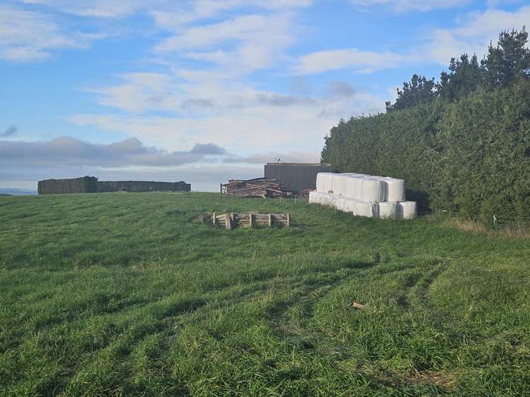 Dunrobin Road Fuchsia Creek_7