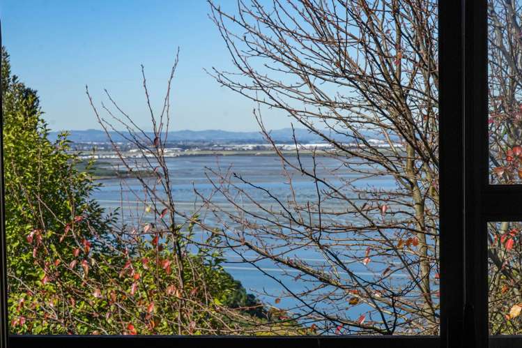 4a Cape Horn Road Hillsborough_28