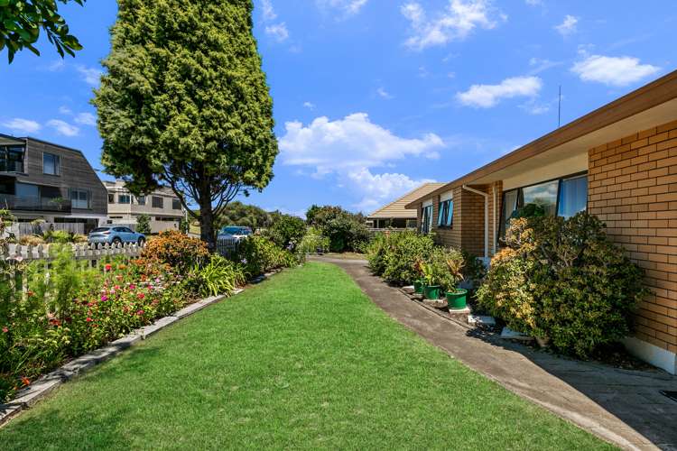 2 Wells Avenue Mount Maunganui_13