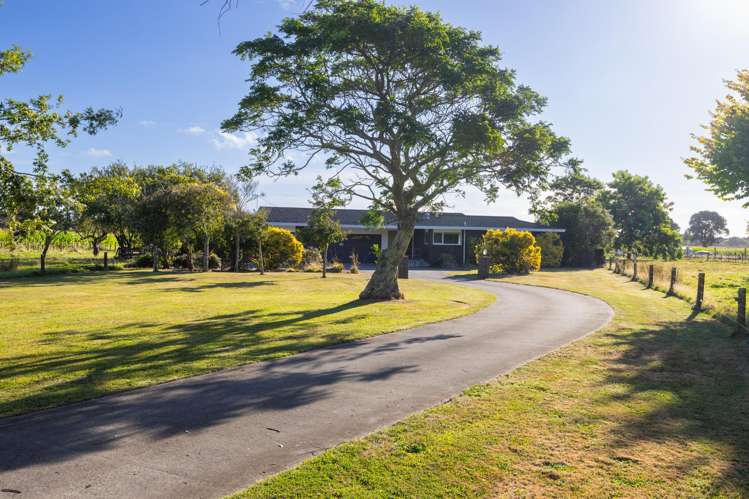 221 Setters Line Bunnythorpe_15