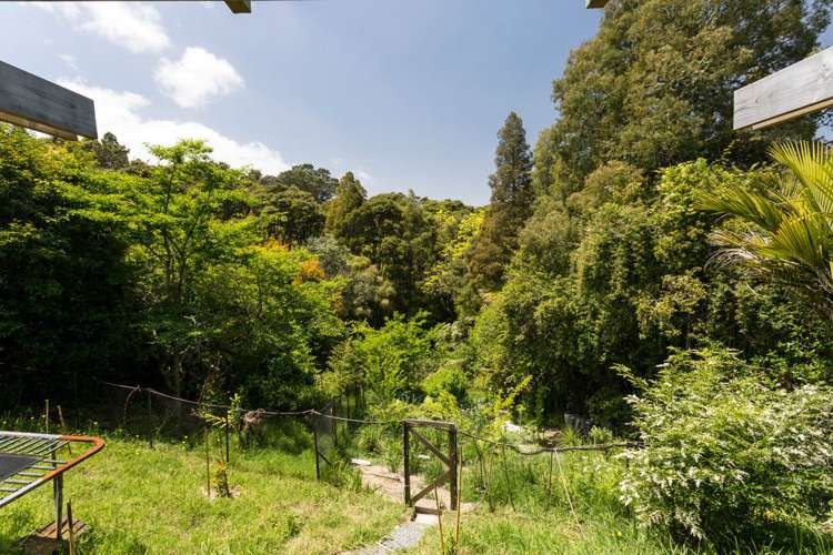 66 Tanekaha Road Titirangi_15