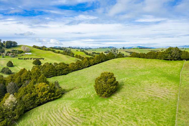 1891 Pipiwai Road Ruatangata_12