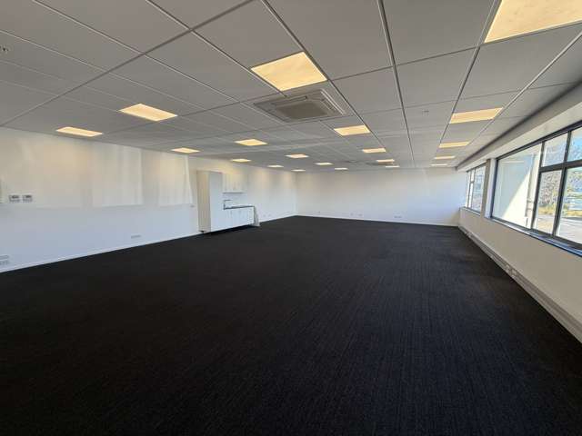 47 The Esplanade Petone_3