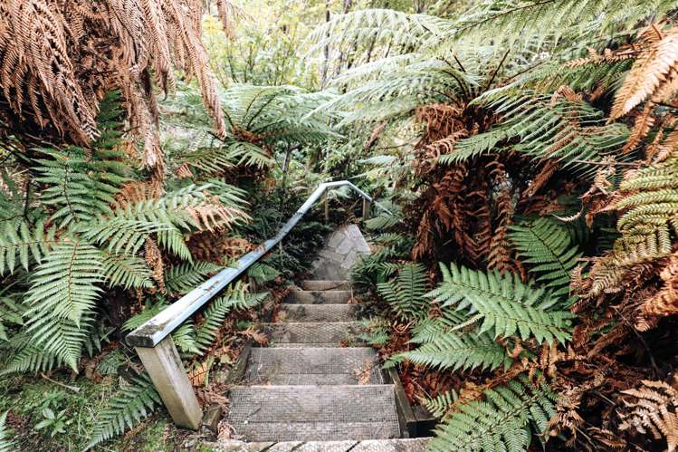 19 Excelsior Road Halfmoon Bay_48