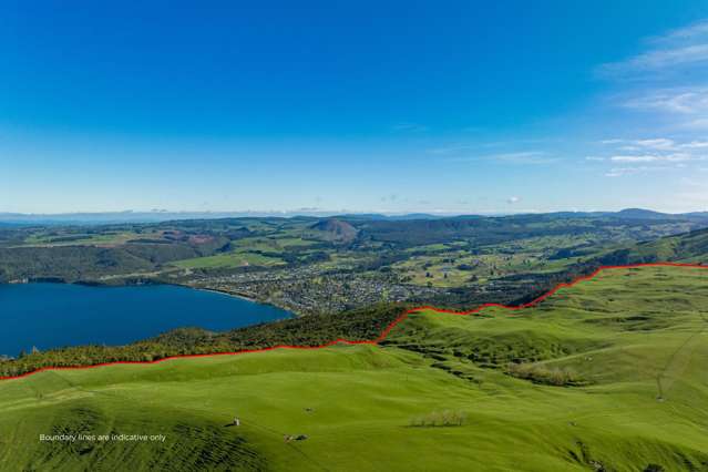 387 Whakaroa Road Kinloch_3