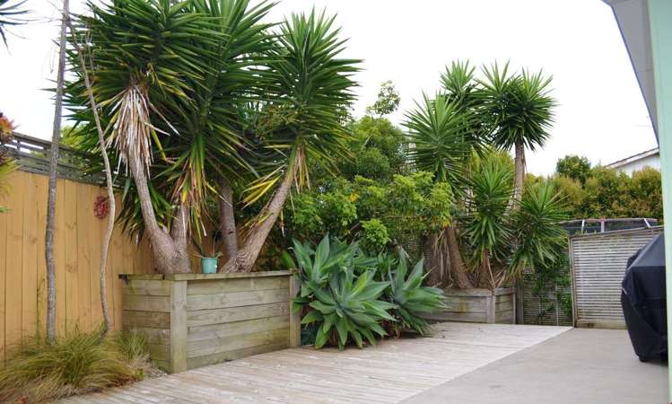 7 Ronald Algie Place Saint Johns_9