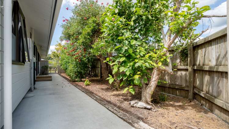 23 Rata Street Tokomaru_17