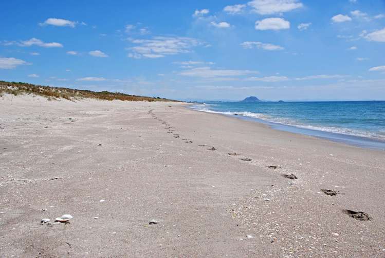 7 Fahey Avenue Mount Maunganui_25