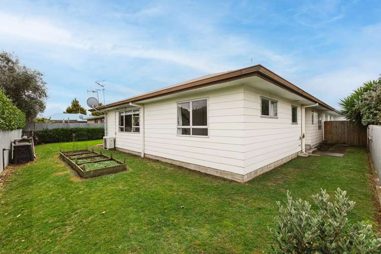 3/805 Heretaunga Street East Parkvale_14