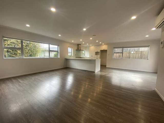 45 Ellis Avenue Mt Roskill_1