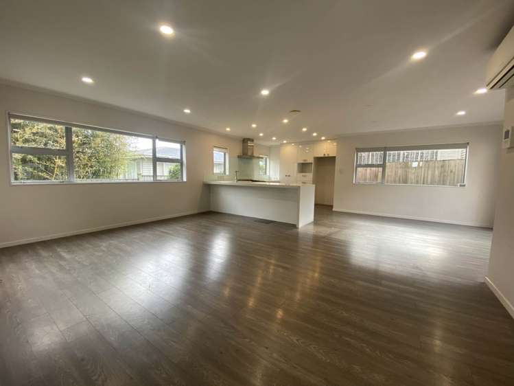 45 Ellis Avenue Mt Roskill_1