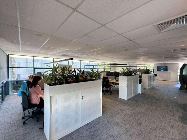 1/19 Edwin Street Mount Eden_8