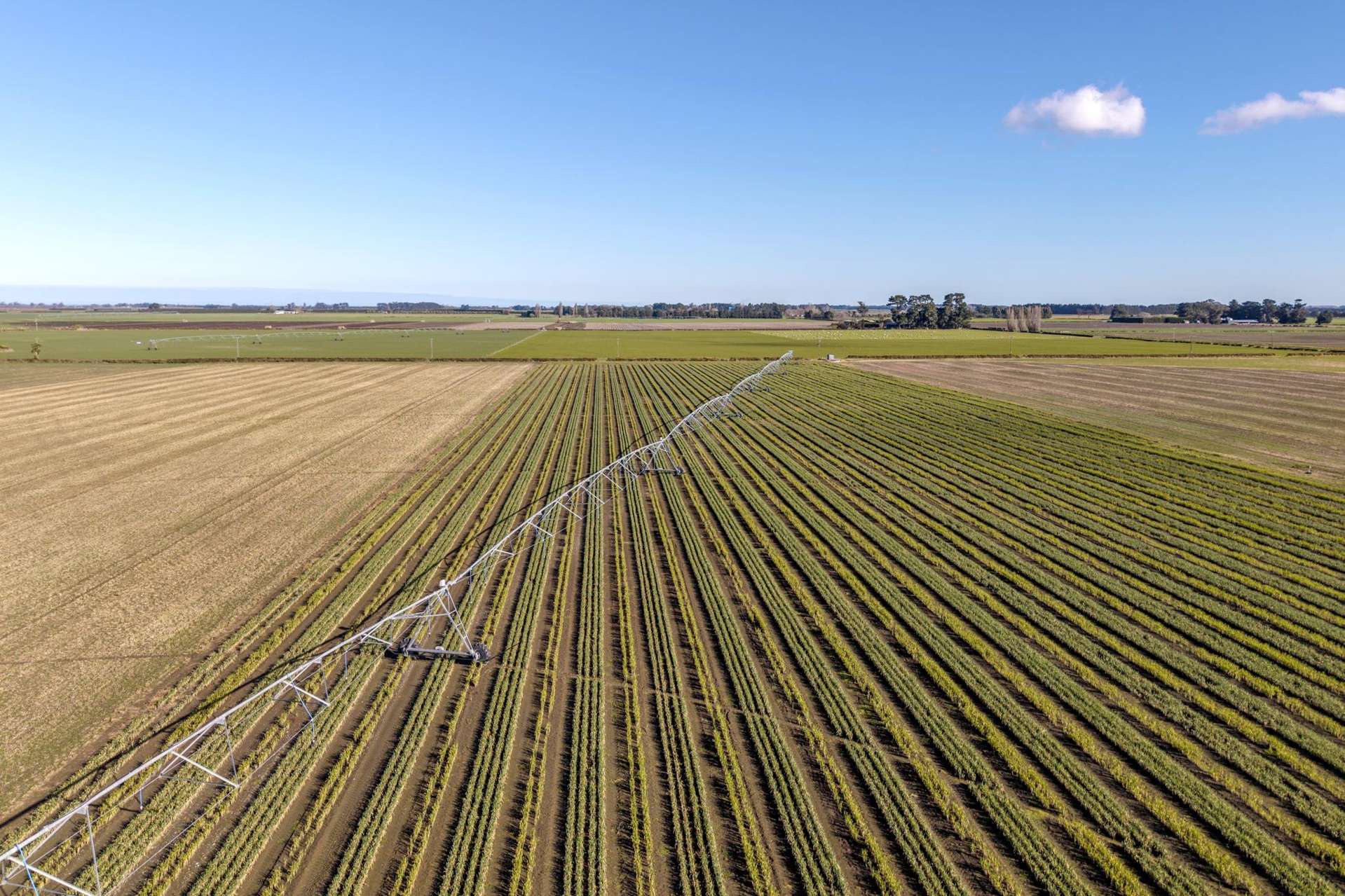 Cryers Road Southbridge_0