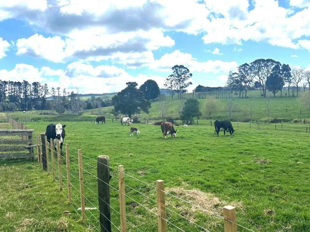 Puketona Road Paihia_3