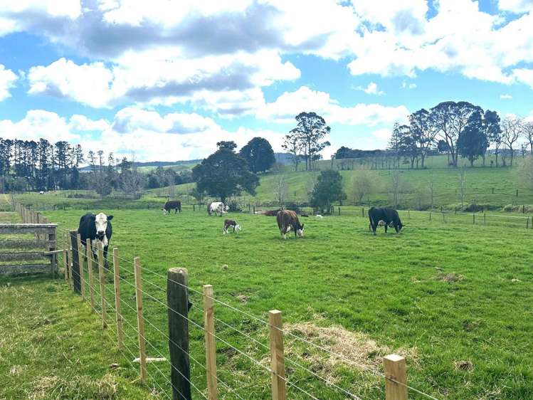 Puketona Road Paihia_3