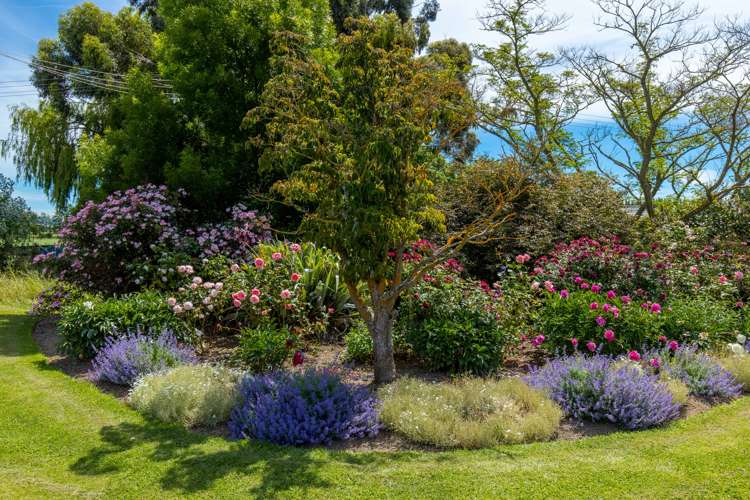 33 David Street Yelverton_19