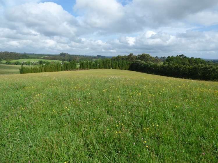 27a Riddell Road Kerikeri_1