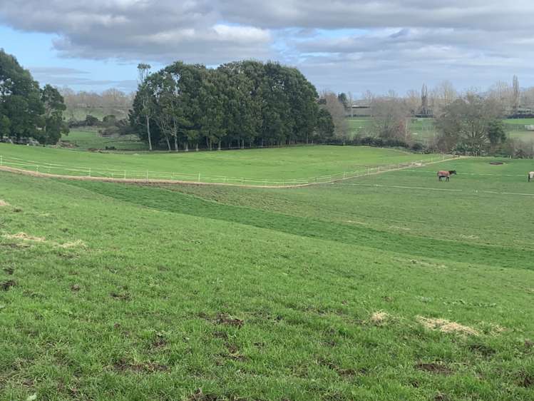 19 Puketutu Road Matamata_20