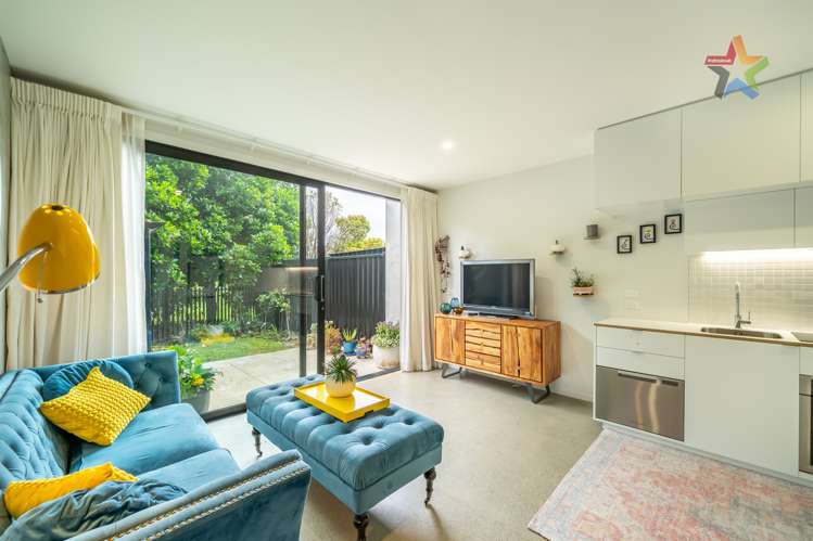 15 Te Ara O Paetutu Petone_4