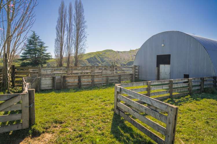 232 Kotare Road Ruakituri_13