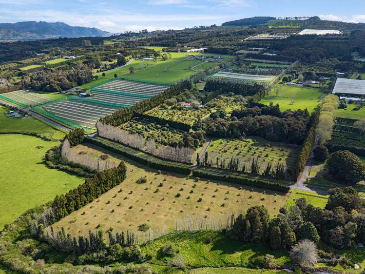 131 Tatton Road Maungatapere_37