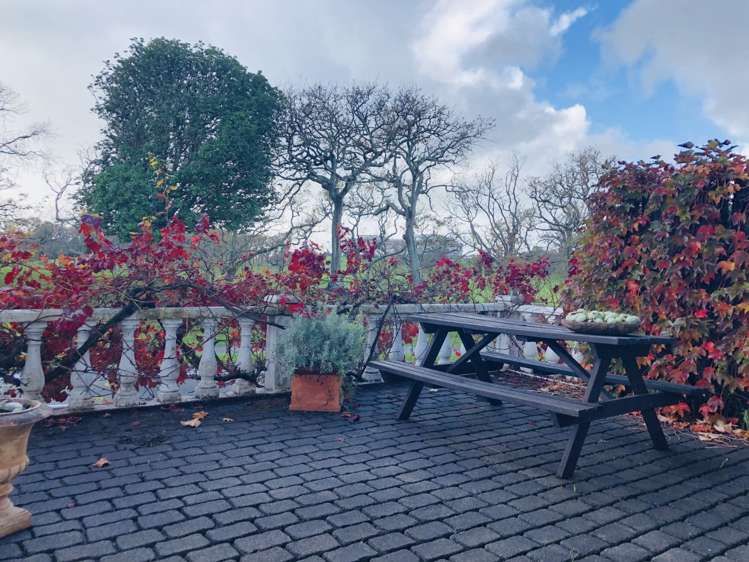 2/73b Carlton Gore Road Newmarket_17